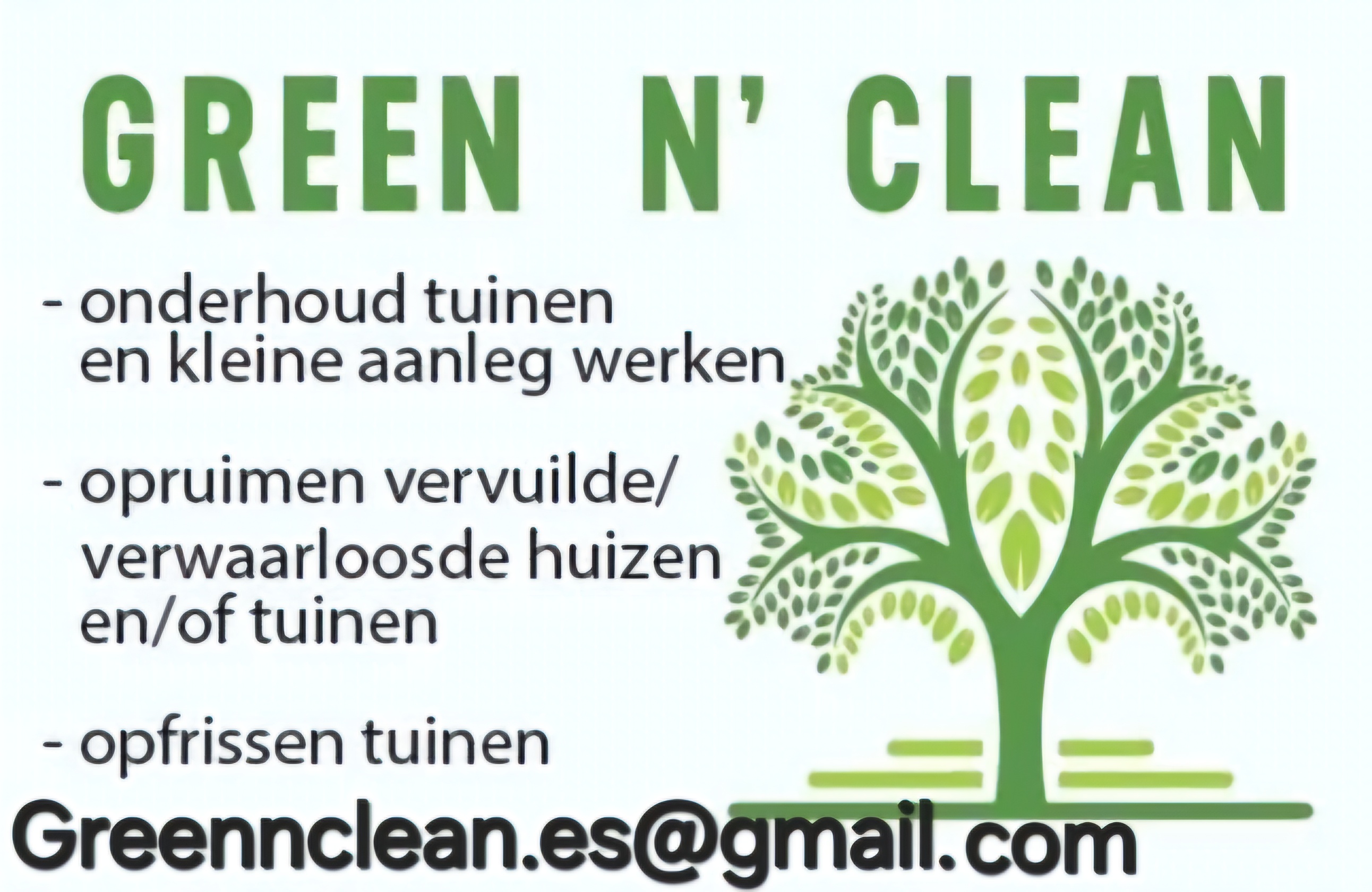 Green n' clean 
