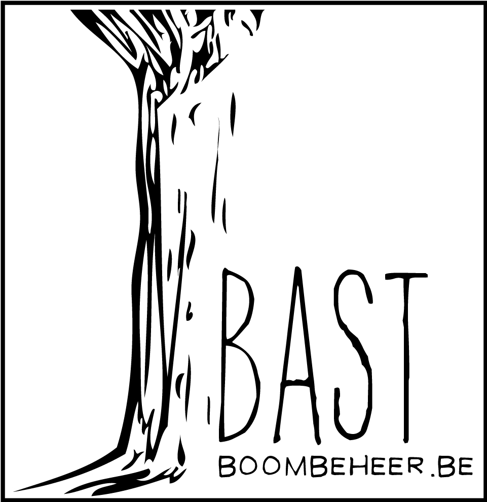 Bast boombeheer 