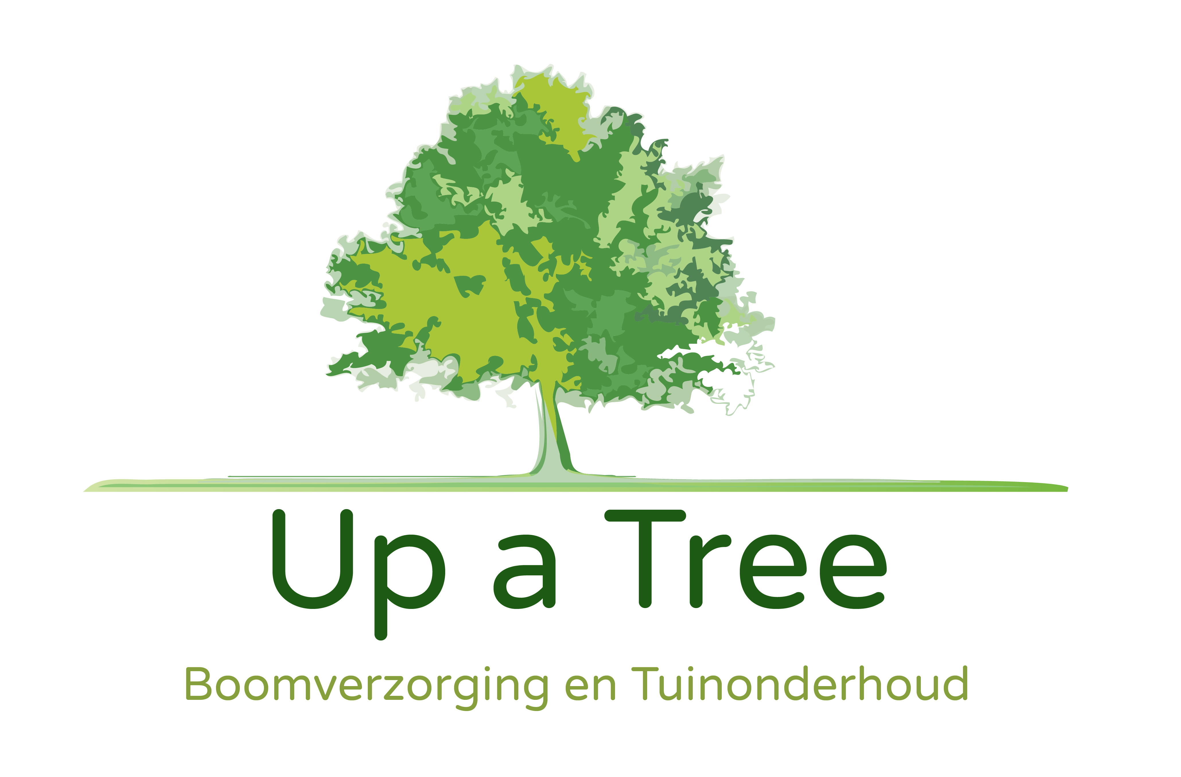 Up a Tree