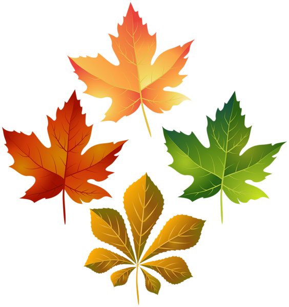 Urban Leafs