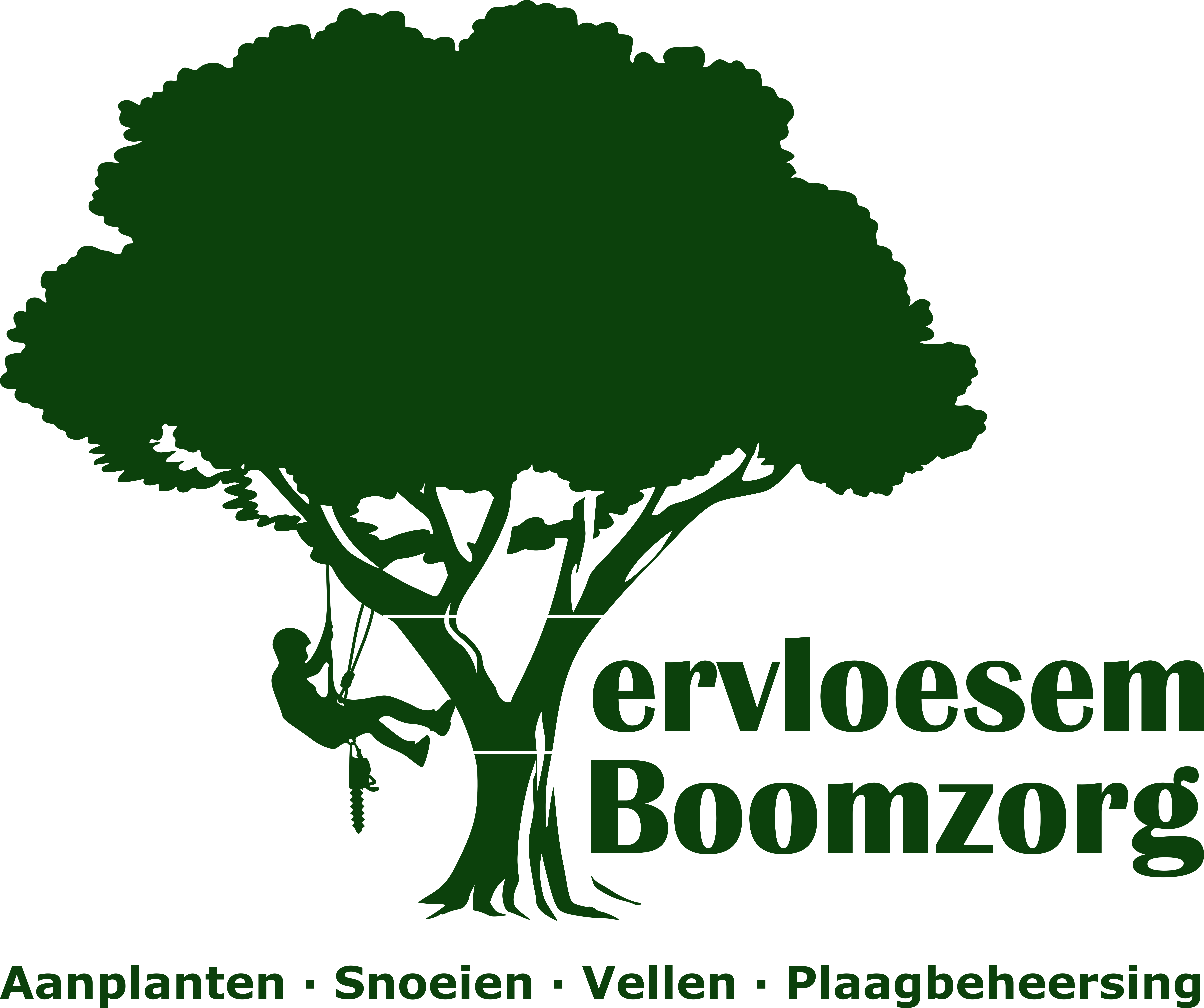 Vervloesem Boomzorg