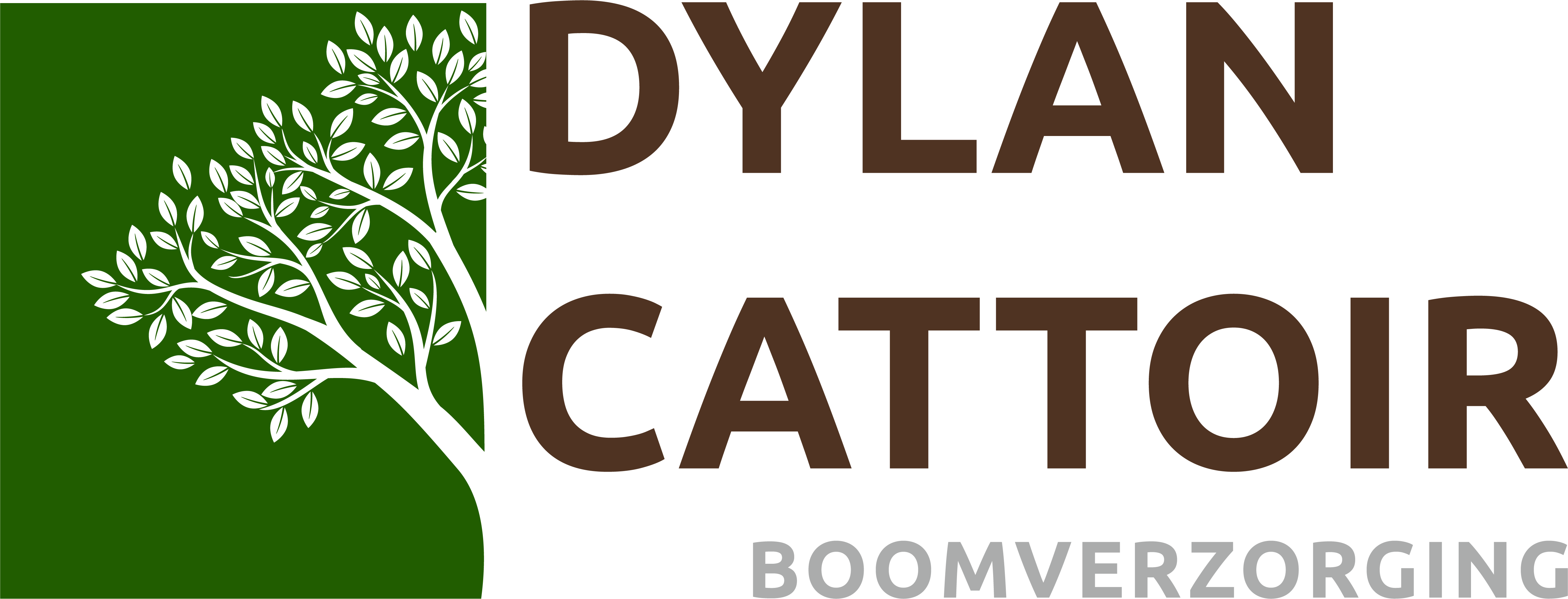 Dylan Cattoir boomverzorging