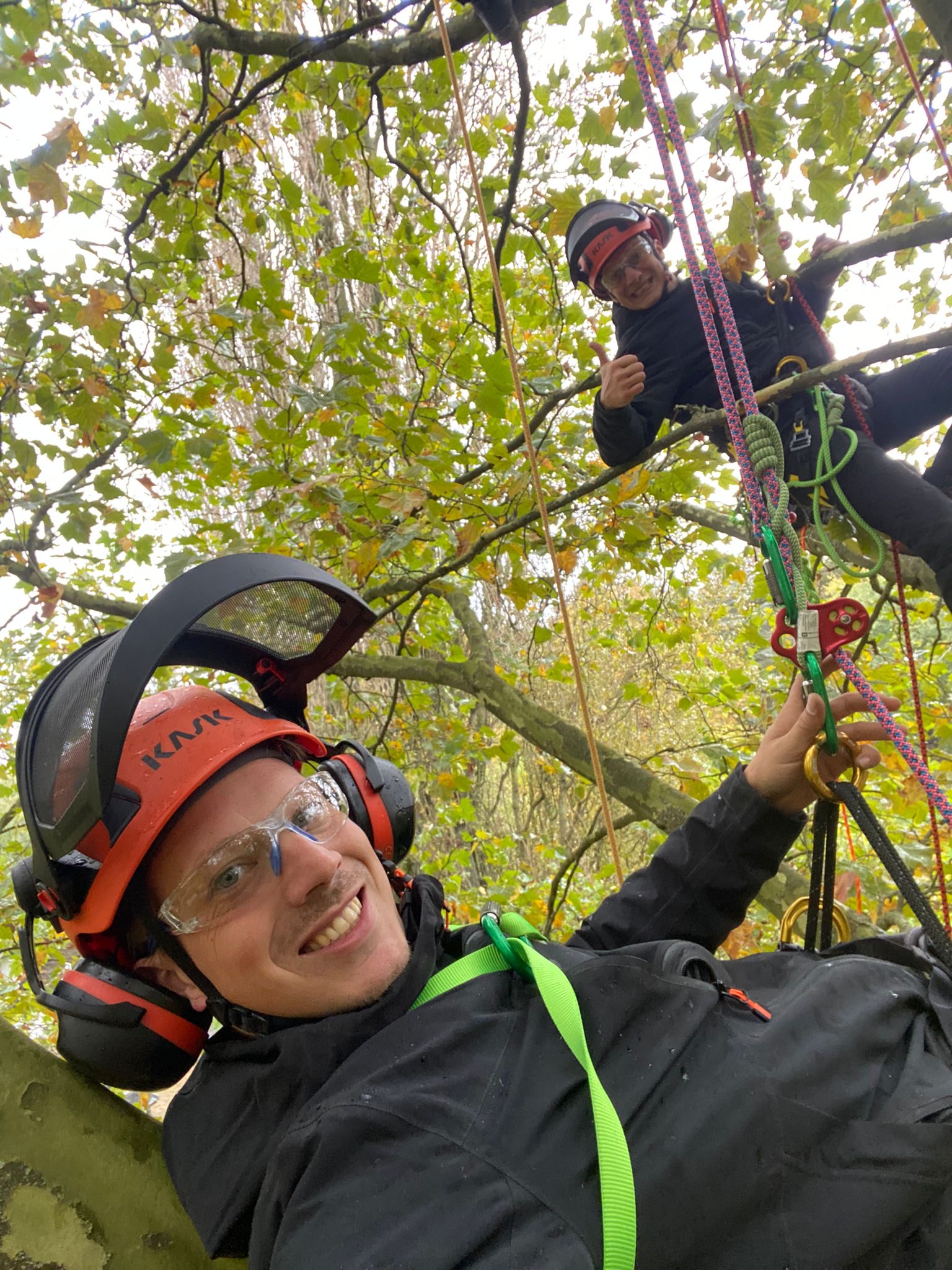 Nick & Tim van BuumSoigneurs