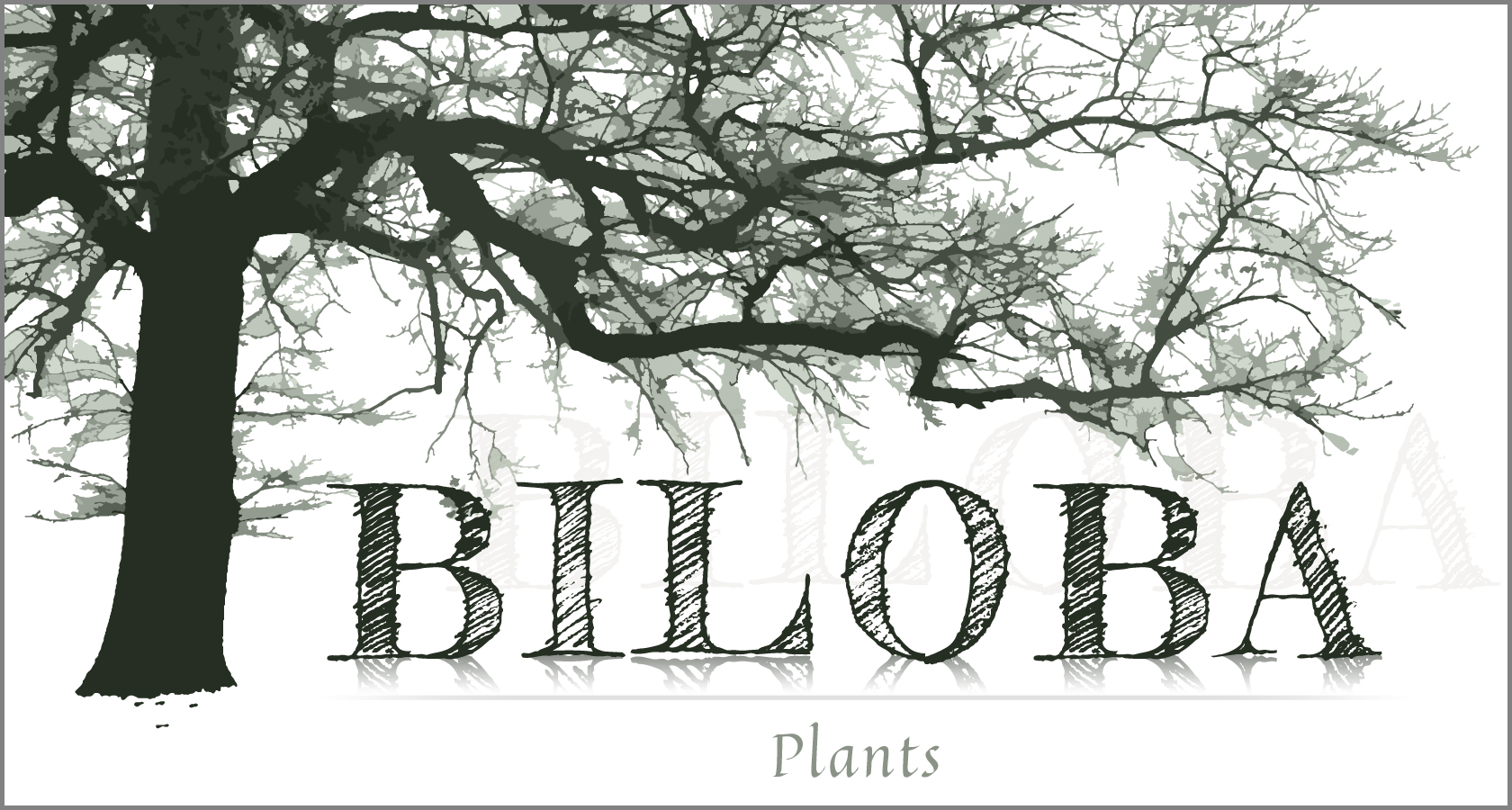 Biloba plants logo