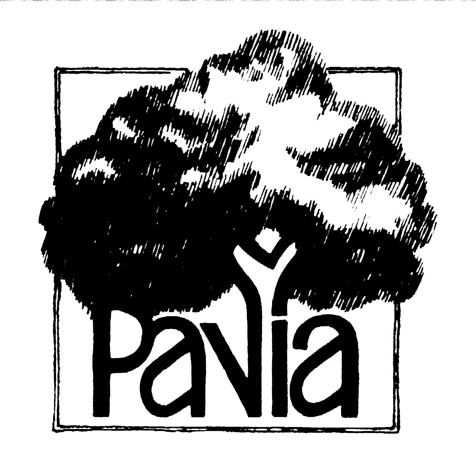 Boomkwekerij Pavia BVBA logo