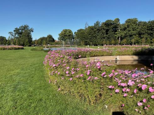 Brasschaat - Rozentuin Brasschaat - Rozentuin