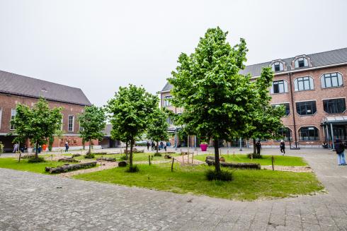 Hasselt - Groene speelplaatsen Hasselt - Groene speelplaatsen
