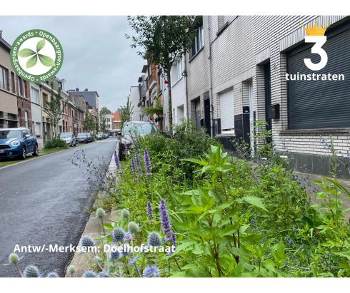 Antwerpen-Merksem - Heraanleg Doelhofstraat © VVOG Antwerpen-Merksem - Heraanleg Doelhofstraat © VVOG