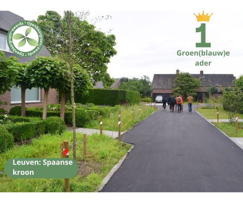 Leuven - Spaanse Kroon © VVOG