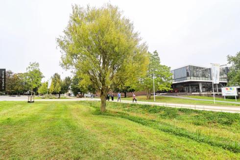 In Wevelgem verdwenen de grenzen tussen de scholen door een grootschalige ontharding en vergroening. © Studio Basta In Wevelgem verdwenen de grenzen tussen de scholen door een grootschalige ontharding en vergroening. © Studio Basta