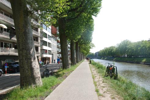 De Coupure was een complex dossier met geklasseerde bomen, een tramlijn en ondergrondse leidingen waar een intense samenwerking tussen verschillende deskundigen noodzakelijk was om alles in goede banen te leiden. © Wim Peeters