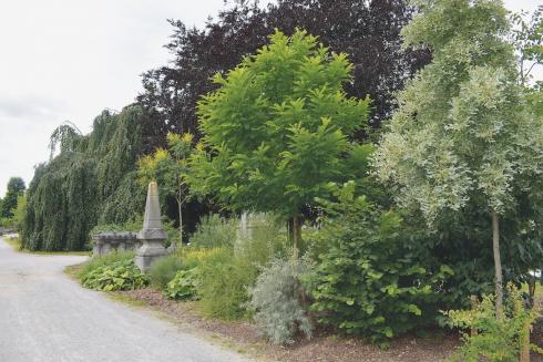 Stadsbegraafplaats doet dienst als plantenlabo in Leuven