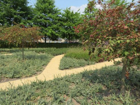 Tuin administratief centrum in Zwijndrecht Tuin administratief centrum in Zwijndrecht