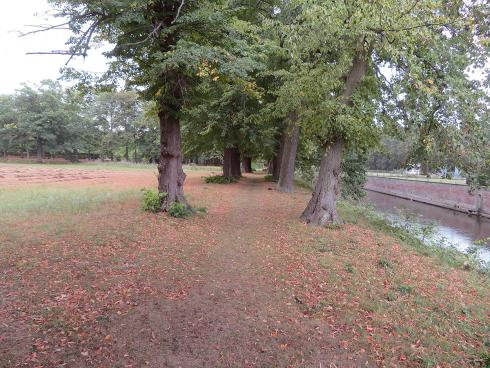 Begraafplaats Schoonselhof in Antwerpen