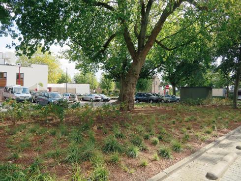 Oud-strijdersplein in Lint Oud-strijdersplein in Lint