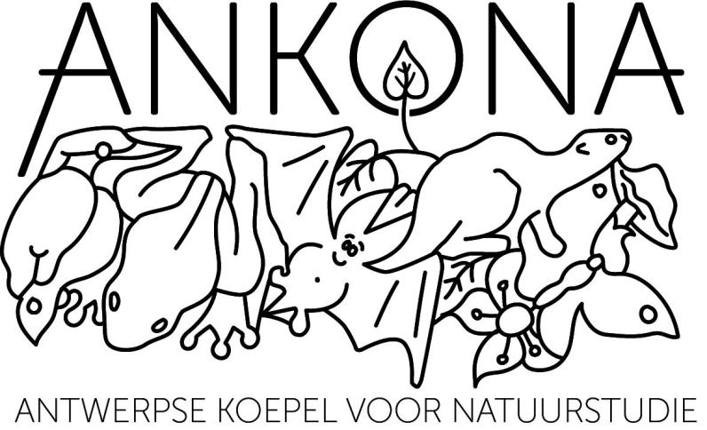 Logo Ankona