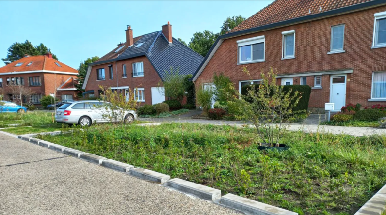 Ontharding in Leuven Spaanse Kroon © Stad Leuven