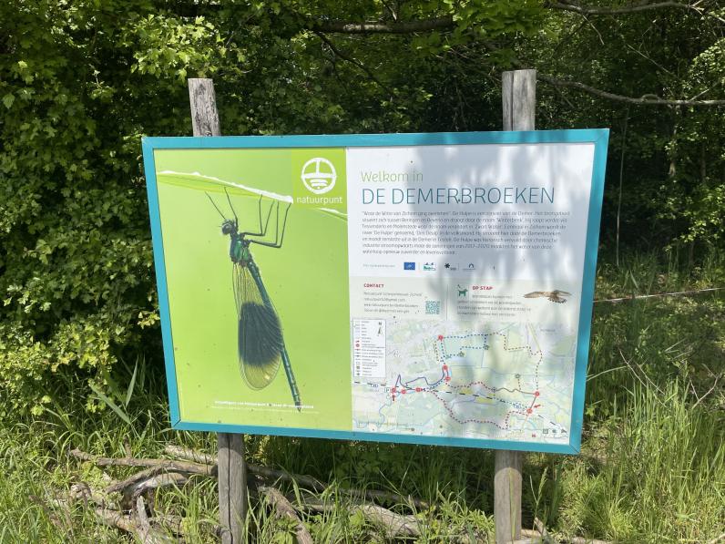 De Demerbroeken is een uitgestrekt natuurgebied tussen Aarschot en Diest. © FrDr Wikimedia Commons