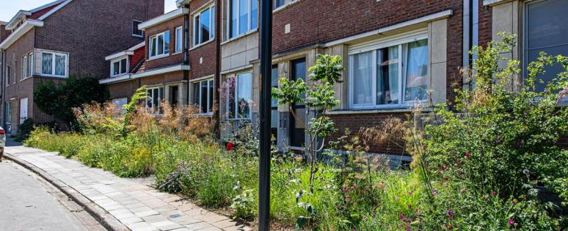 Volmolenlaan te Leuven © Stad Leuven