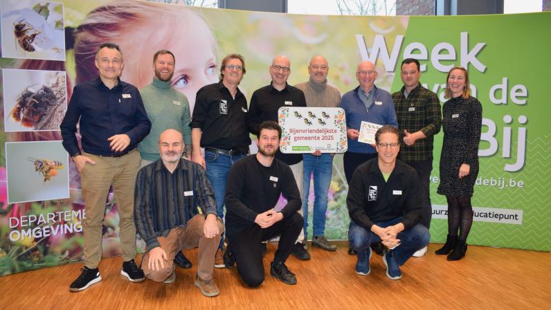 Brugge en Knokke-Heist mogen zich de meest bijenvriendelijke gemeenten van Vlaanderen noemen. © VVOG