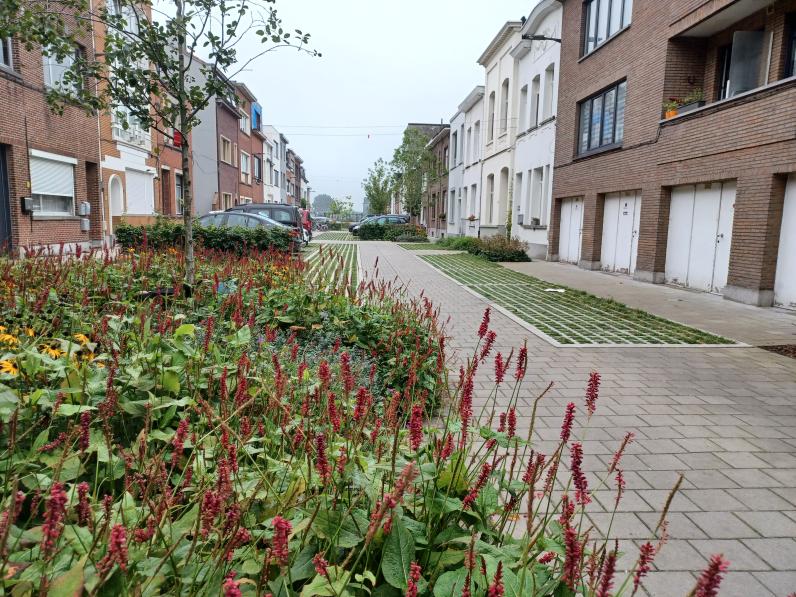 De Jan Olieslagersstraat in Deurne werd omgevormd tot een tuinstraat. © Jan Vilain [ruimtereporter]