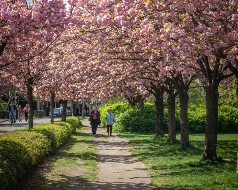 Provinciedomein Rivierenhof, Antwerpen © Kamilla Isalieva / Unsplash