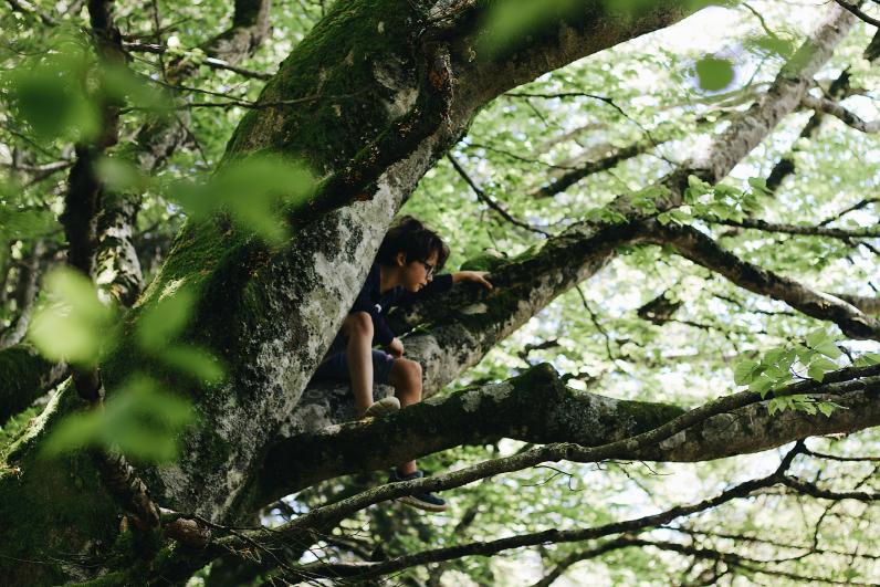 Zorg dragen voor bomen © Maël Balland / Unsplash