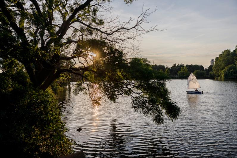 Antwerpen plant 1400 nieuwe bomen