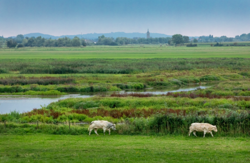 Water+Land+Schappen: 12,7 miljoen euro voor 43 gemeenten 