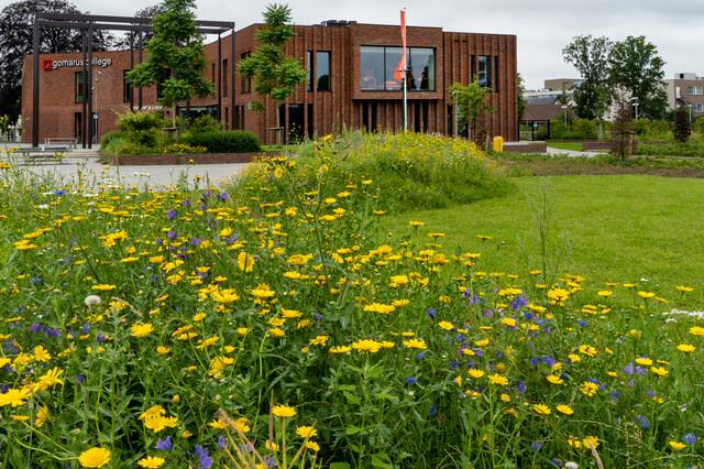 De meerwaarde van groen rondom een school