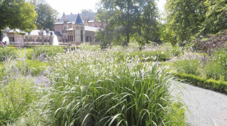 Wonen in groene buurt heeft weinig effect op kankerrisico