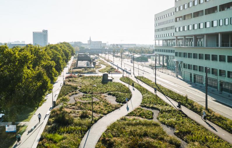 Antwerpen / Een groene rand langs de dokken