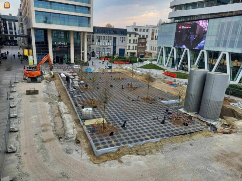 Antwerpen / Grote bomen planten op ondergrondse parking