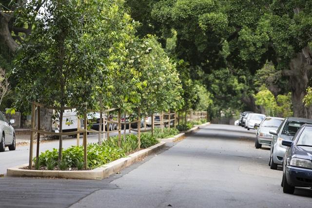 Bomen in de wijk doen mensen langer leven