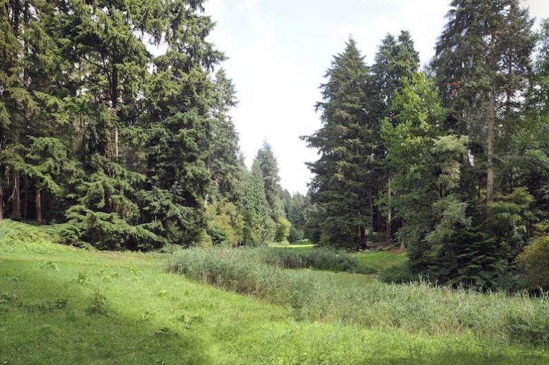 Arboretum van Tervuren / Nieuw boek, website en wandelroutes