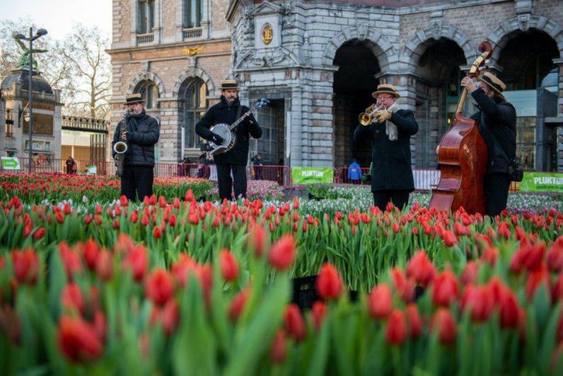 Opnieuw tulpenplukactie in Antwerpen 