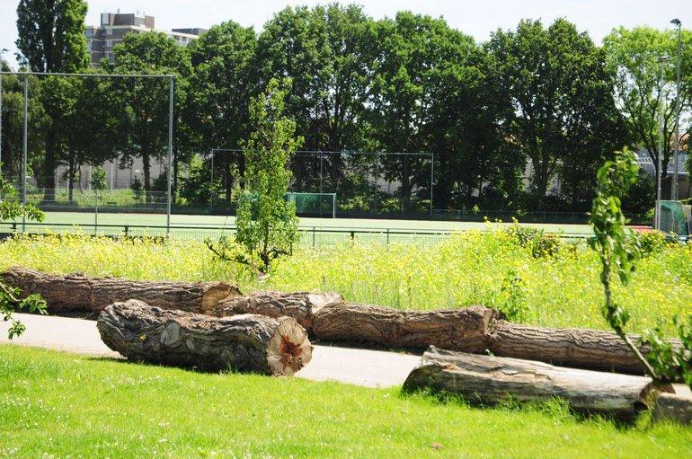 Test of uw sportpark goed is voor biodiversiteit