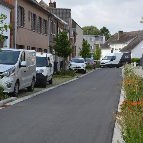 Denderleeuw - Polderstraat