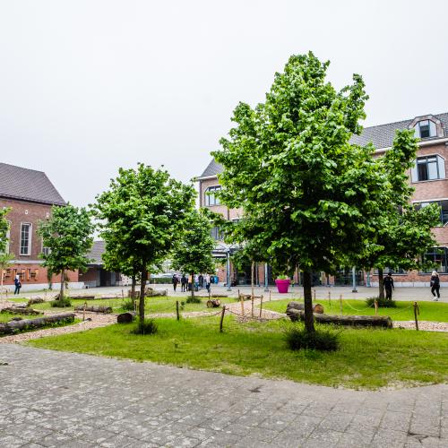 Hasselt - Groene speelplaatsen