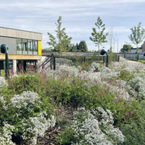 Heusden-Zolder - Groen hart zolder