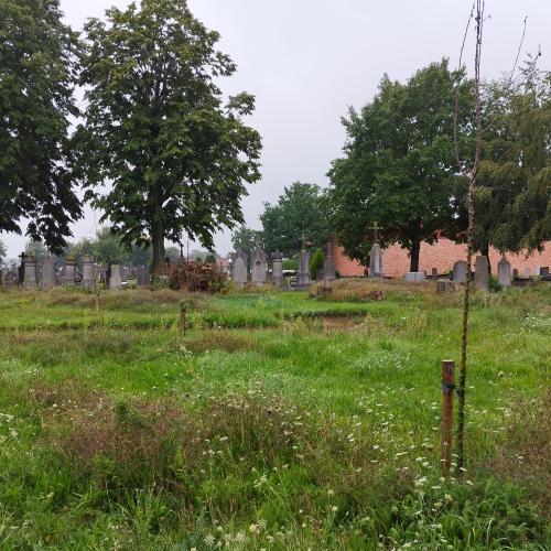 Kortrijk - Urnebos en boomgaard