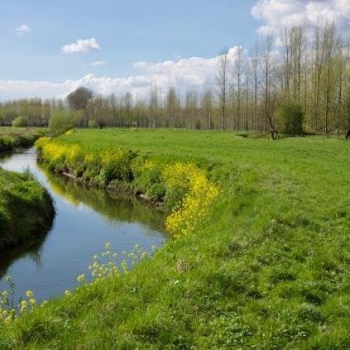 De graslandvallei rond de Mombeek wordt één van de vier pilootgebieden in het project Sponslandschappen. © VLM