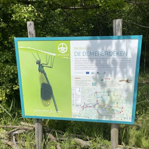 De Demerbroeken is een uitgestrekt natuurgebied tussen Aarschot en Diest. © FrDr  Wikimedia Commons