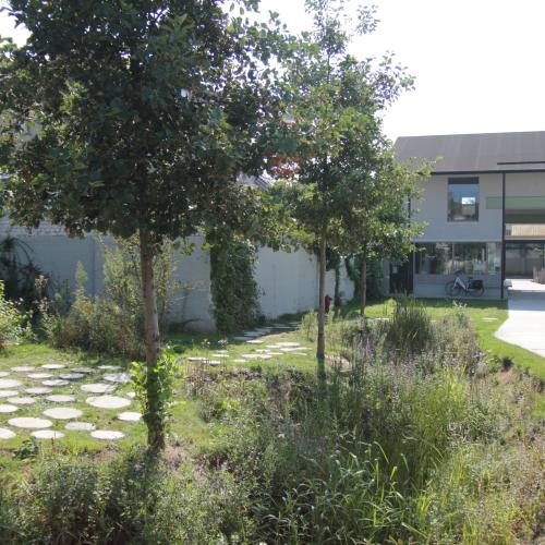 De Standaertsite is een mooi voorbeeld van ontharding en vergroening in Gent. © Atelier Arne Deruyter