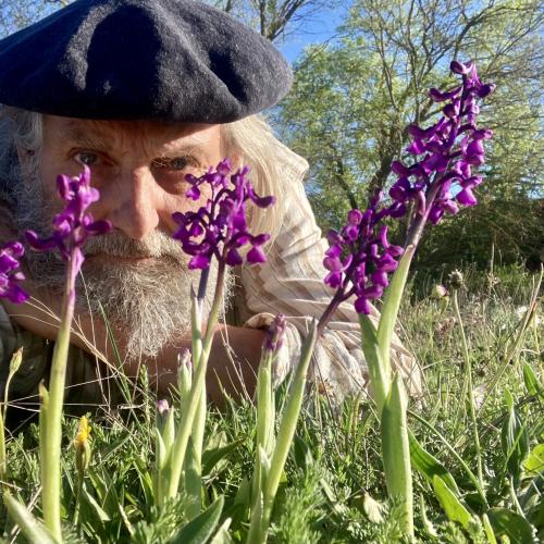 Een zelfportret tussen de prachtige harlekijn orchis © Bart Backaert