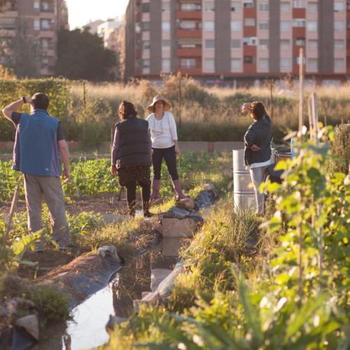 Valencia, de huidige Europese Groene Hoofdstad © City of Valencia