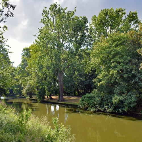 Ook stadsgroen valt onder de Natuurherstelwet (Brugge). © D. Vestikas / Pixabay