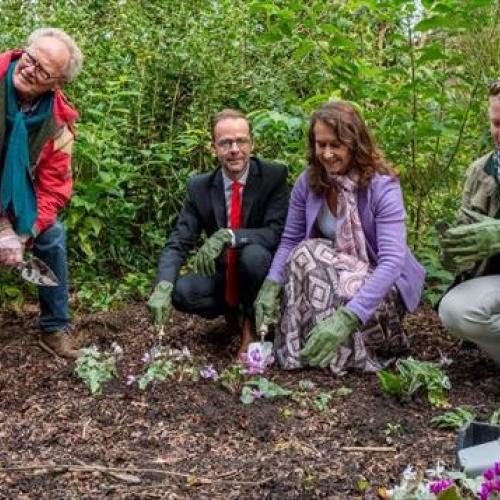 Sloveense Ambassadeur in Arboretum Kalmthout