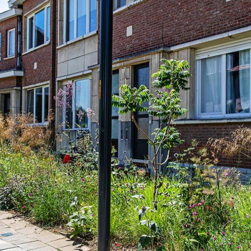 Volmolenlaan te Leuven © Stad Leuven