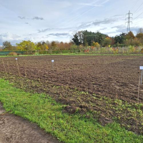 Een proefveld met inheemse kruidachtigen. © VLM